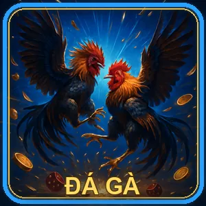 Đá gà cựa sắt kịch tính