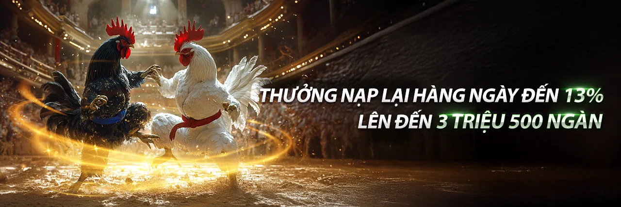 Chương Trình VIP Độc Quyền 5mm88 đăng nhập